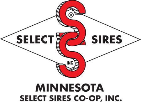 MN Select Sires